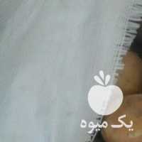 فروش سیب زمینی بذری در کرمانشاه در گروه خرید فروش عمده سیب زمینی - زودرس دیررس آگریا اسپریت اردبیل همدان در یکمیوه