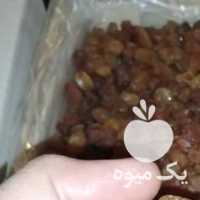 فروش کشمش تیزابی آفتابی پاک شده کارخانه و کارتن شده در تهران در گروه آجیل - فروش عمده محصولات در یکمیوه