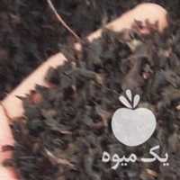 فروش عمده چای ارگانیک لاهیجان در گیلان در گروه خرید فروش عمده چوب- زغال چوب گردو تبریزی خام در یکمیوه