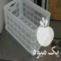 فروش سبد کیلویی میوه در میاندوآب در آذربایجان غربی در گروه خرید و فروش انواع سبد در یکمیوه