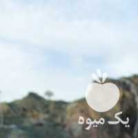 فروش عسل بهاره زرشک و عناب و کوهی با ضمانت در تهران در گروه عسل شیره و فرآورده ی مربا - طبیعی گون کوهی آویشن در یکمیوه