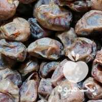 فروش خرمای برحی +رطب برحی در اهواز در گروه خرید فروش عمده خرما - کبکاب تازه زاهدی خشک خارک در یکمیوه