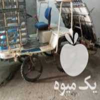 فروش دستگاه نشا در جویبار در گروه خرید فروش نشا - انواع گوجه برنج کاهو پیاز کاری فرنگی در یکمیوه