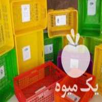 فروش انواع سبد پلاستیکی در تهران در گروه خرید فروش اتصالات و تجهیزات آبیاری - شیر لوله نوار در یکمیوه