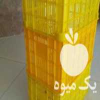 فروش سبد 20 کیلویی - سبد انگور و کشمش در ارومیه در گروه خرید فروش انواع سبد - میوه پلاستیکی چوبی گل در یکمیوه