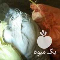 فروش سیب زمینی بذری آگریا در اردبیل در گروه خرید فروش عمده سیب زمینی - زودرس دیررس آگریا اسپریت اردبیل همدان در یکمیوه