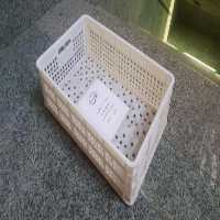 فروش سبد مرغ سبد میگو سبد شیر سبد کشتارگاهی سبد پرتقال سبد در بوشهر در گروه خرید فروش انواع سبد - میوه پلاستیکی چوبی گل در یکمیوه