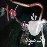 فروش تیلر کشاورزی 7 5میتسوبیشی سالم در رضوانشهر در گروه خرید فروش ماشین آلات کشاورزی - تراکتور تیلر کمباین مدرن در یکمیوه