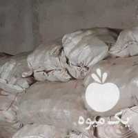 فروش سیب زمینی بذری آگریا 97 در اردبیل در گروه خرید فروش عمده سیب زمینی - زودرس دیررس آگریا اسپریت اردبیل همدان در یکمیوه