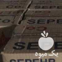 فروش کشمش پلویی ملایر در تهران در گروه آجیل - فروش عمده محصولات در یکمیوه