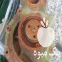 فروش لوازم کمباین جاندیر اصلی در جویبار در گروه سگ و گربه _ نگهبان هاسکی ژرمن دوبرمن سرابی در یکمیوه