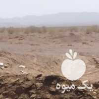 فروش کود گوسفندی در یزد در گروه خرید فروش کود و مواد شیمیایی - اوره پتاس مرغی کمپوست آهن در یکمیوه