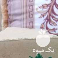 فروش خرما در جهرم در گروه خرید فروش عمده خرما - کبکاب تازه زاهدی خشک خارک در یکمیوه