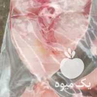 فروش انواع ماهی و میگو تازه دریای جنوب+خرما+ارده در تهران در گروه خوراک شیلات و آبزیان - ماهی گیلان خوزستان چابهار بوشهر در یکمیوه