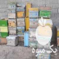 فروش کندو  ،  طبق و پوکه در دولت آباد در گروه زنبورعسل - زنبورداری نوین صنعتی مدرن کندو در یکمیوه