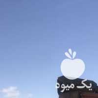 فروش کود گاوگاوی گوسفند مرغ مرغی در شیراز در گروه خرید فروش کود و مواد شیمیایی - اوره پتاس مرغی کمپوست آهن در یکمیوه