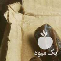 فروش‌ خرما کبکاب در بوشهر در گروه خرید فروش عمده خرما - کبکاب تازه زاهدی خشک خارک در یکمیوه