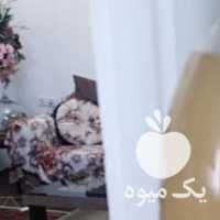 فروش سرکه سیب ارگانیک در ارومیه در گروه محصولات ترشی - گل کلم مخلوط لیته هفت بیجار در یکمیوه