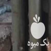 فروش دسته بیل بید سیب چنار سنجد صنوبر در ارومیه در گروه خرید فروش عمده چوب- زغال چوب گردو تبریزی خام در یکمیوه