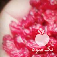 فروش ارسال زرشک به سراسر کشور در بیرجند در گروه خرید فروش عمده انار - ساوه شیراز شیرین ترش در یکمیوه