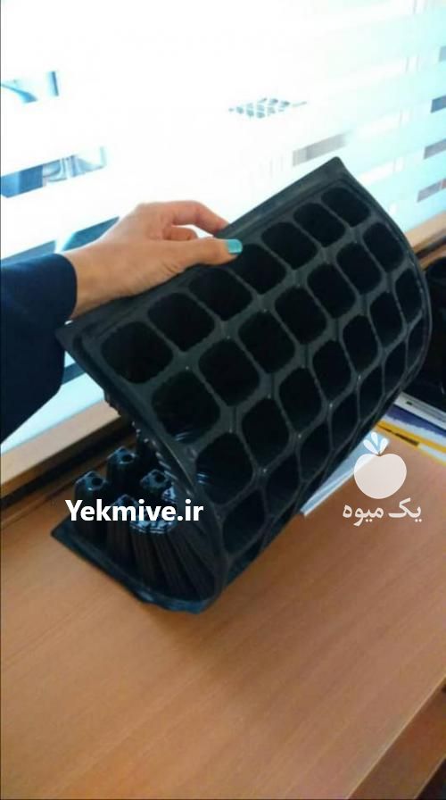 فروش سینی نشا در تهران در گروه خرید فروش نشا - انواع گوجه برنج کاهو پیاز کاری فرنگی در یکمیوه -عکس1