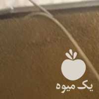 فروش دستگاه زعفران خشک کن در مشهد در گروه خرید فروش ابزار ها و تجهیزات کشاورزی - دستی برقی ماشینی بیل کلنگ در یکمیوه