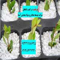 فروش پرلیت در کشت گیاهان گلخانه ای در تهران در گروه خرید فروش کود و مواد شیمیایی - اوره پتاس مرغی کمپوست آهن در یکمیوه