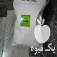 فروش بذر نخود فرنگی درجه یک هلندی پفکی پلمپ در گلستان در گروه خرید فروش بذر - انواع محصول کشاورزی گوجه کتان میوه درخت در یکمیوه