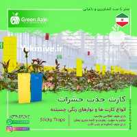 فروش عمده کارت جذب حشرات با چسبندگی قوی در سمنان در گروه اسب و الاغ خر و فروش قاطر- ترکمن عربی سفید نر و ماده در یکمیوه