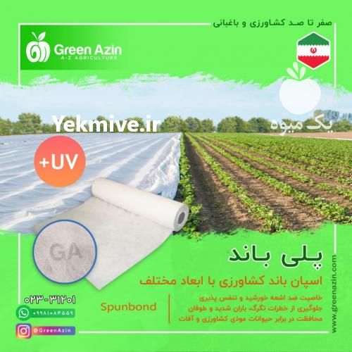 فروش اسپان باند کشاورزی در سمنان در گروه خرید و فروش عمده انواع محصولات کشاورزی و دامداری در یکمیوه -عکس1