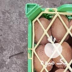 فروش کیوی سفت صادراتی موجود است در آستارا در گروه خرید فروش عمده کیوی - صادراتی مازندران تنکابن تالش در یکمیوه -عکس1