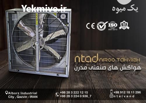 فروش فن 140 بیگرزمن مرغداری و گلخانه در قزوین در گروه خرید فروش عمده سیر - تازه خام ترشی خشک صادراتی در یکمیوه -عکس1