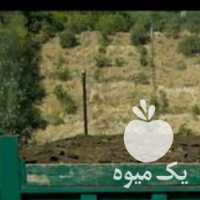 فروش پخش کود حیوانی گاوی گوسفندی در کل تهران خاک باغچه در گروه خرید فروش کود و مواد شیمیایی - اوره پتاس مرغی کمپوست آهن در یکمیوه