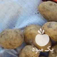 فروش سیب زمینی دامی و سیب زمینی گاوداری در همدان در گروه خرید فروش عمده سیب زمینی - زودرس دیررس آگریا اسپریت اردبیل همدان در یکمیوه