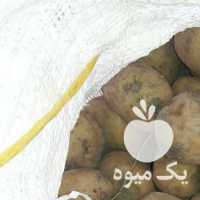 فروش 200 تن سیب زمینی دامی و درهم و زیرسرندی در همدان در گروه خرید فروش عمده سیب زمینی - زودرس دیررس آگریا اسپریت اردبیل همدان در یکمیوه