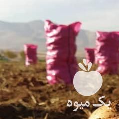 فروش سیب زمینی عمده در همدان در گروه خرید و فروش سیب زمینی در یکمیوه -عکس1