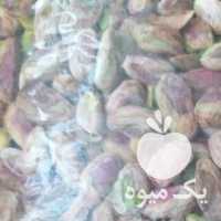 فروش مغزپسته امسالی ارگانیک در یزد در گروه بادام - درختی کوهی زمینی فروش عمده در یکمیوه