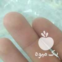 فروش زعفران سرگل قلم دار در مشهد در گروه خرید فروش عمده زعفران - قائنات قیمت خراسان بهرامن گرم در یکمیوه