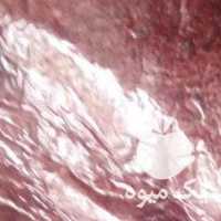 فروش لواشک و زرشک زعفران برگ زرد آلو عرقیات گیاهی کشمش در مشهد در گروه ادویه - ترشی کاری ادویه جات خشک در یکمیوه