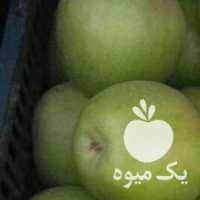 فروش سیب سبز فرانسوی در ارومیه در گروه خرید فروش عمده سیب - زرد و قرمز گلاب پاییزه در یکمیوه