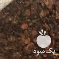 فروش کشمش ضایعاتی شیره دار در همدان در گروه عسل شیره و فرآورده ی مربا - طبیعی گون کوهی آویشن در یکمیوه