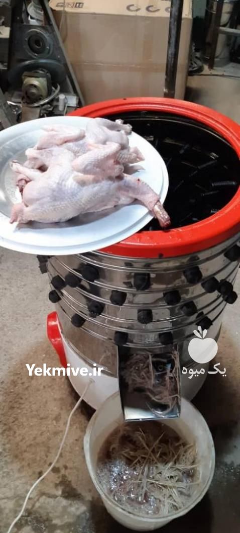 فروش پرکن طیور استاندارد در گلستان در گروه خرید فروش ابزار ها و تجهیزات کشاورزی - دستی برقی ماشینی بیل کلنگ در یکمیوه -عکس1