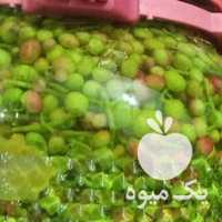 فروش ترشی پسته کوهی در یزد در گروه پسته - کوهی شامی خام اکبری تازه کله قوچی در یکمیوه