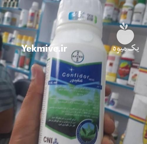 فروش بذر خربزه -خربزه داکو در تهران در گروه خرید فروش بذر - انواع محصول کشاورزی گوجه کتان میوه درخت در یکمیوه -عکس1