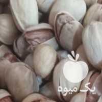 فروش پسته فندقی در رفسنجان در گروه پسته - کوهی شامی خام اکبری تازه کله قوچی در یکمیوه