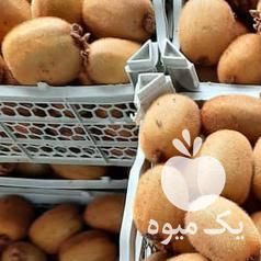 فروش کیوی سفت در تنکابن در گروه خرید فروش عمده کیوی - صادراتی مازندران تنکابن تالش در یکمیوه -عکس1