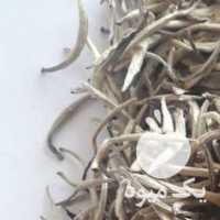 فروش انواع چای اورگانیک موجود میباشد در لاهیجان در گروه خرید فروش عمده گیاهان زینتی - گرمسیری آپارتمانی باغچه آب در یکمیوه