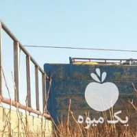 فروش نهال پسته در رفسنجان در گروه خرید فروش نهال - انواع گردو پسته بادام سلطانی انگور در یکمیوه