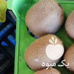 فروش کیوی صادراتی و داخلی در تنکابن در گروه خرید فروش عمده کیوی - صادراتی مازندران تنکابن تالش در یکمیوه -عکس1