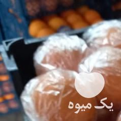 فروش کیوی و پرتقال صادراتی در تنکابن در گروه خرید فروش عمده پرتقال - پرتقال رسمی تامسون خونی جنوب در یکمیوه -عکس1